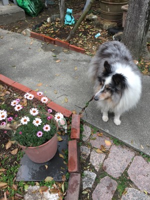 020EC66E-9946-4C11-A3EC-201C0F823A9B