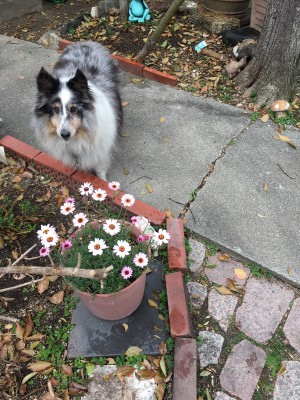 5A9A7188-060B-42A9-958A-5E96D78241BC