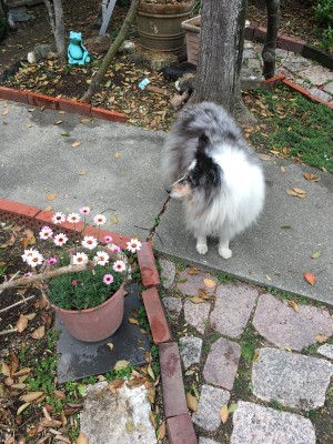 8EC7B39E-4C6F-488F-A24C-E74B83FEB981