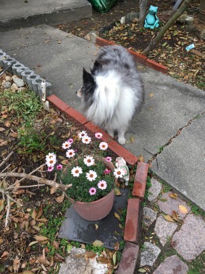 99C37A02-3840-441C-8919-4ADC7FD9E611