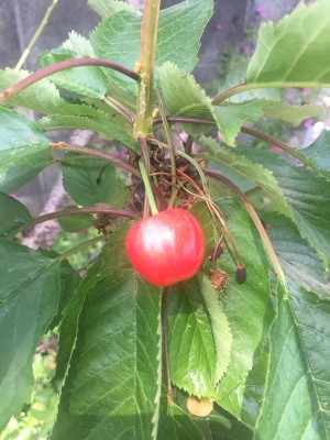 3E074ADD-23D8-4FE9-AEED-0528064D1DA8