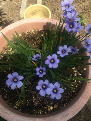 86146490-B7F0-4805-94AC-1CE689EA6727