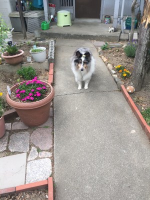 B23B1301-B026-4529-B912-BC692A54C9BF