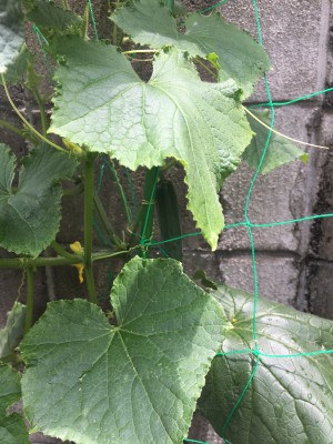 3D90770A-280F-46A6-9477-7B9919E98BD0