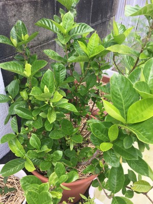 5A669100-ECC8-4412-A2E8-B334C2AE237B