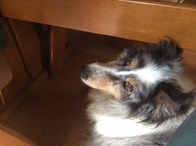 AB059027-C093-41A8-A7C7-6134A5E28747