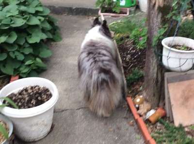 B2BF1E1B-EAAF-4B29-8C04-E369AB5784D6