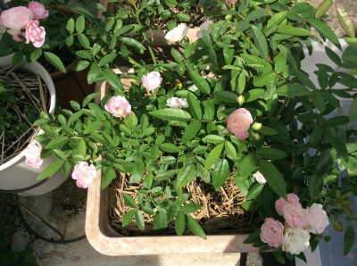 F662A5A8-7155-448F-A96F-7FA66542B06C