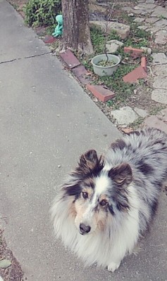 BeautyPlus_20180218152712_save