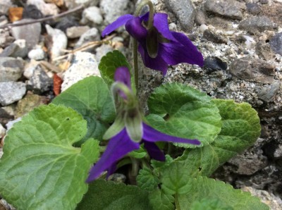 61C94B01-D3CC-40E9-AD55-5144450B07A2