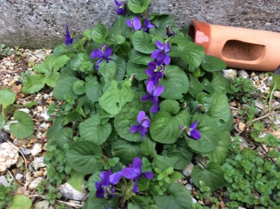 CC382909-274F-40C6-B054-AED31FB5F0AB