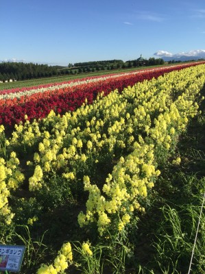 F1AF19EC-BDD8-4627-B000-F4FB97E5E0D1