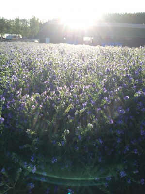 F609B149-AE80-4C41-84DC-5F490CE6B954