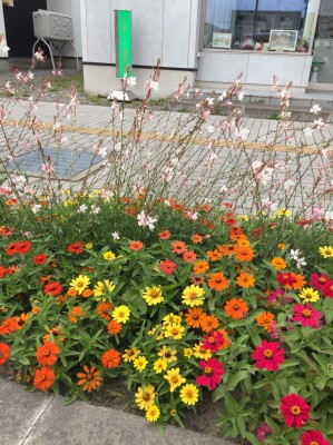 FD444C93-1D2D-4078-B7A8-E91808810E36