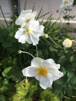 15B03790-92BE-46B6-9972-FBAD5D23E125