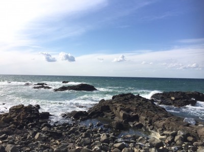 E1D9AD99-857D-4687-9B5B-0B519426EDBE