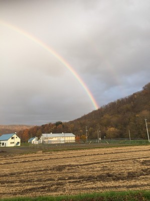 65056438-154F-49B9-8A41-9432F3532E87