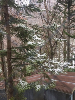 C00BBCE7-72F8-4BB7-B240-3FFD0704D808