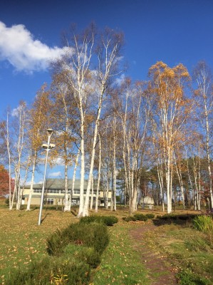 ED5C4074-C76C-4A78-AC82-D8722E8B3316