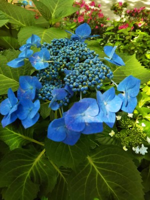 BD36402D-85D8-4CC7-A7D8-CB2262A8FF52