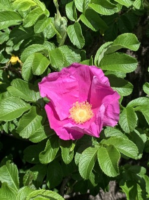 D2B996D7-4432-4248-9270-837616448F33