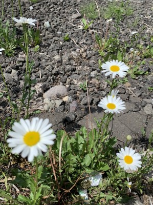 F512E54D-6B15-4B17-BDB8-453B67706666