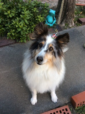 2D890022-00D0-467E-9EC5-C38FC715D8A4