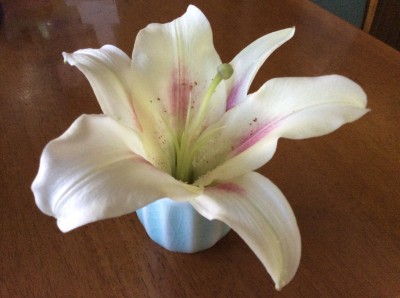 82D95BC4-7FE6-4D66-A178-73434025BD8C