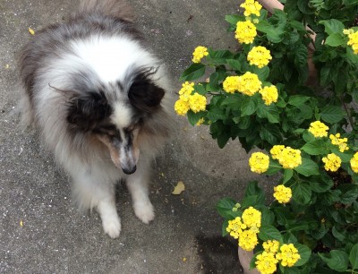 A56077BE-21F5-4928-81DA-6DABCC4F649E