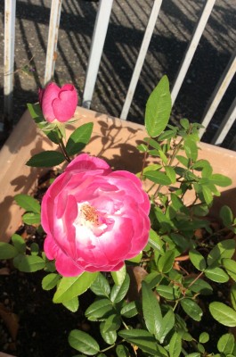 82F5D153-0F0F-4C9B-9EF9-310D5C6BECCC