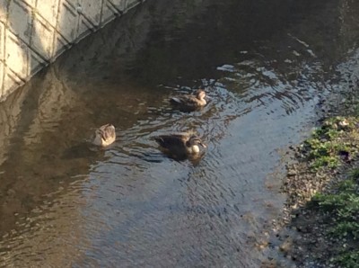 8AC0B148-06AE-483F-9EC7-6A8D1E443FB0