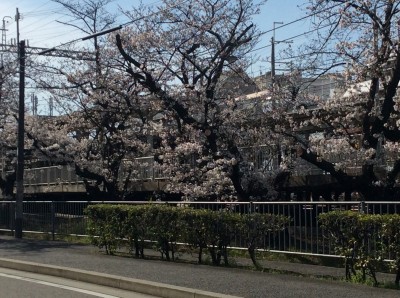 0A8966F4-2AC4-4162-B24A-E8F8F274232A