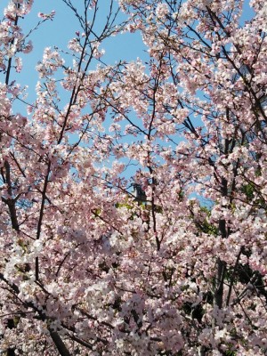 396A13E2-F433-457B-AD4A-BE5740744A2C