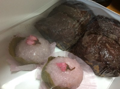 56EEE7E8-96DA-41FC-9F06-D48A886E5E19