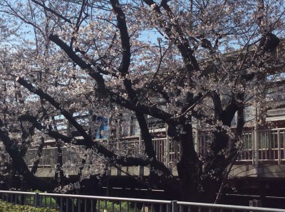 7C496906-F057-465D-B37F-243AA34A0531