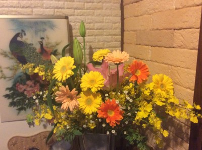 8F34B515-C66F-4158-AE35-5F80EBEDD541