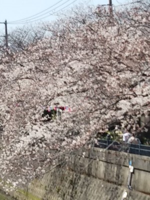 F783B81A-A7B6-49E7-90BD-ED200D2C6FFF