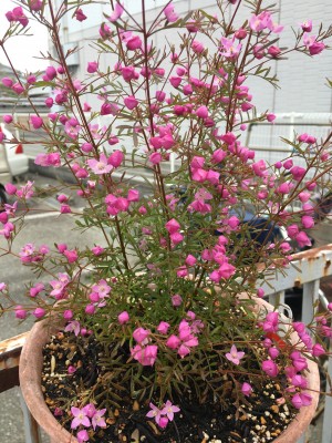 3118E236-52A0-41AA-9123-DE7A420E468A