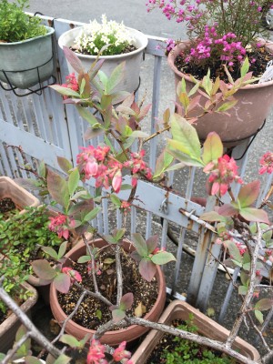 404ADD77-4079-435F-ACD0-2D3A54B270CA