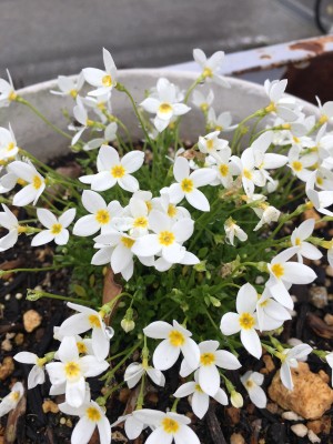 46367E86-F8FA-4135-9EDC-8B45A66934C3