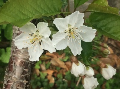 C1406884-9853-447E-A3BB-7A18A5A5DEBC