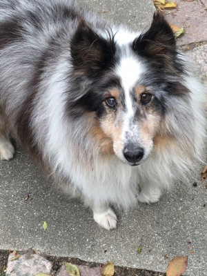 F079F086-35CD-4F9A-8492-9E2CA4549AFB