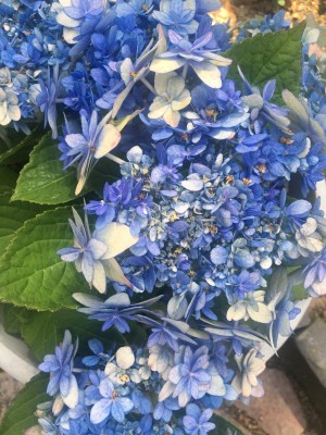 6AF567B8-8154-4EFD-ABB7-59619A2D984A