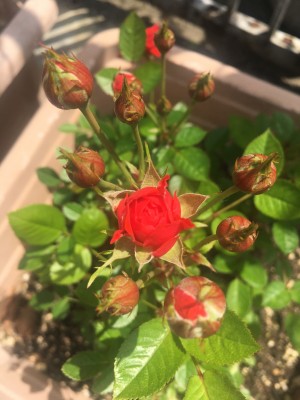 6E06224D-BA0A-44D6-BEBE-890A46517131