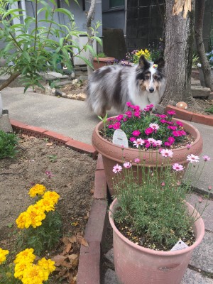 9F839EE8-2A26-4BAC-BDB3-E87D4CFC784C