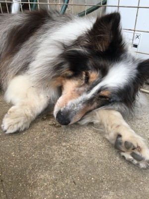 16ED290A-B08E-47FB-B05F-53F5361B78AC