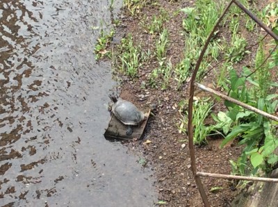 20EFE76D-FB20-4068-B25F-2D564D373E1E