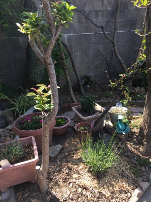 352C1C75-1C8B-491A-A73E-8C82173E4D98