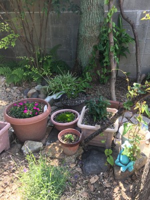 570F1B10-E729-468B-BC59-462CCE7AB8CD