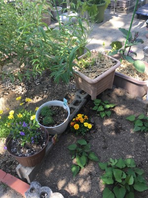 66FD1817-4132-42A2-A16B-7DC62F3451BB